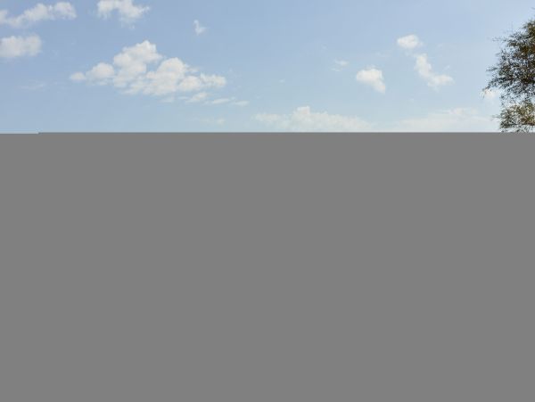 Hilton Head Condo 1008671