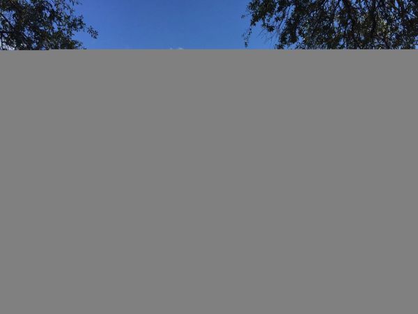 Hilton Head Condo 1008671