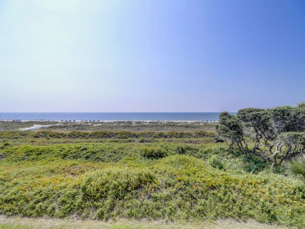 Hilton Head Condo 1008672
