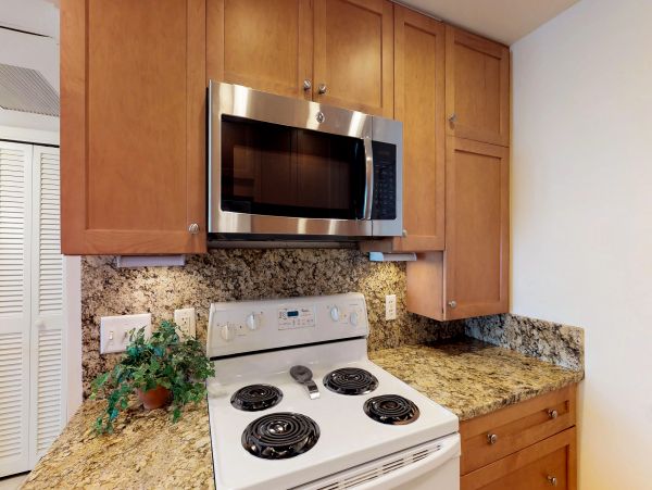 Hilton Head Condo 1008674