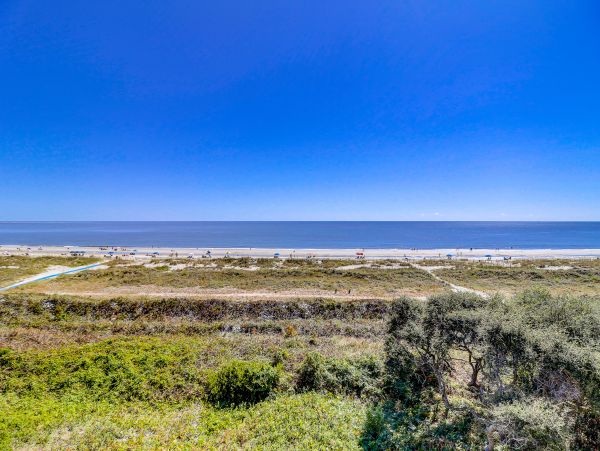 Hilton Head Condo 1008677