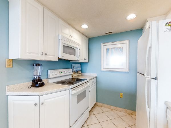 Hilton Head Condo 1008679