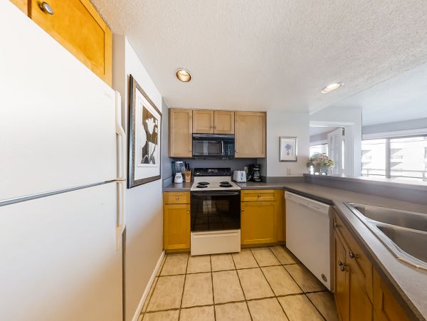 Hilton Head Condo 1008685