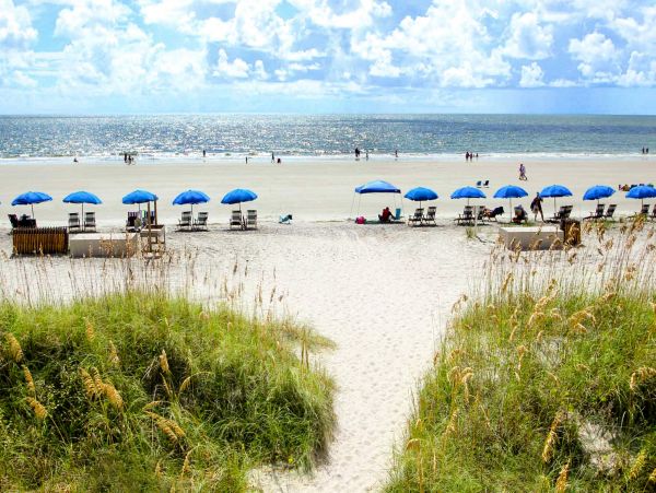 Hilton Head Condo 1008685