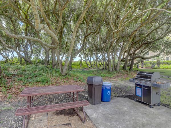 Hilton Head Condo 1008689