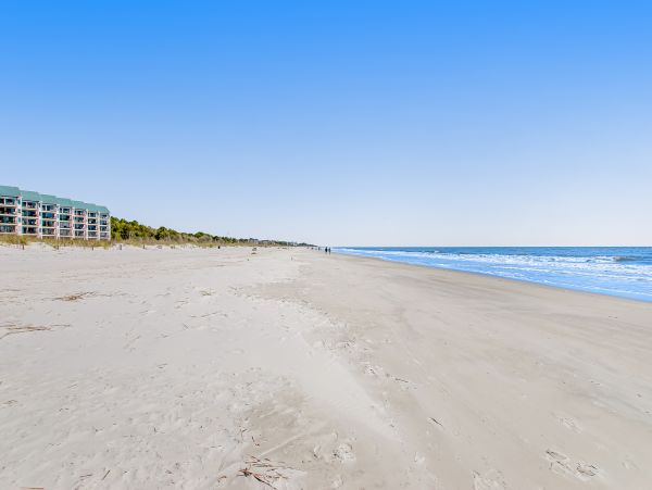 Hilton Head Condo 1008697