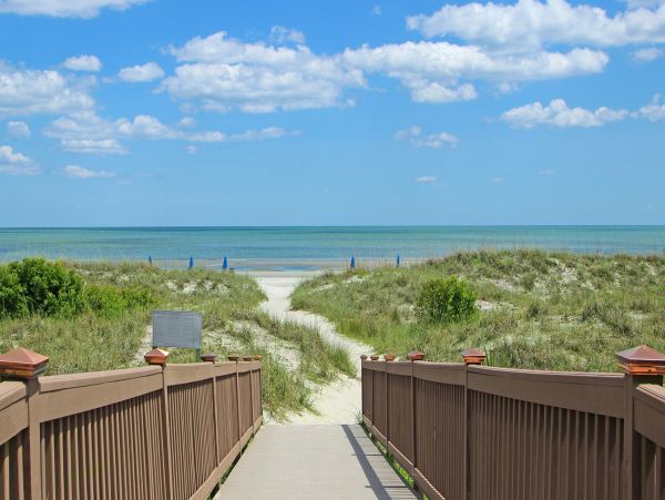 Hilton Head Condo 1008703