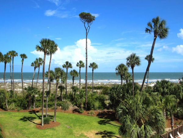 Hilton Head Condo 1008703
