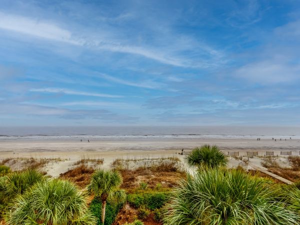 Hilton Head Condo 1008724