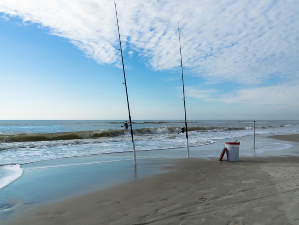 Hilton Head Condo 1008725