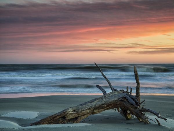 Hilton Head Condo 1008725
