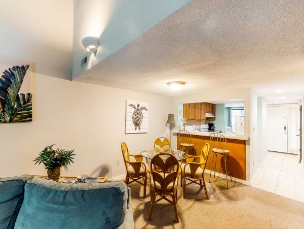 Hilton Head Condo 1008727