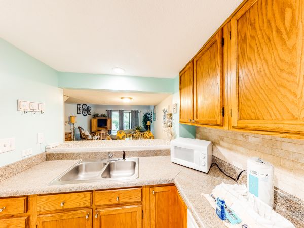Hilton Head Condo 1008727