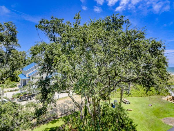 Hilton Head Condo 1008738