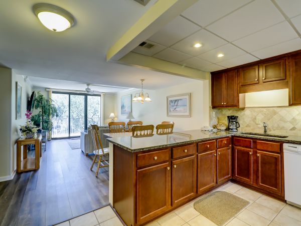 Hilton Head Condo 1008738