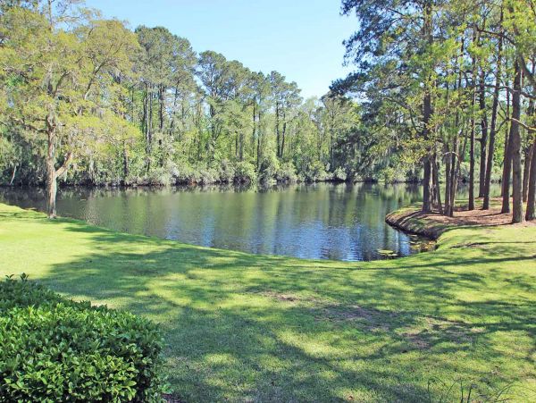 Hilton Head Condo 1008740
