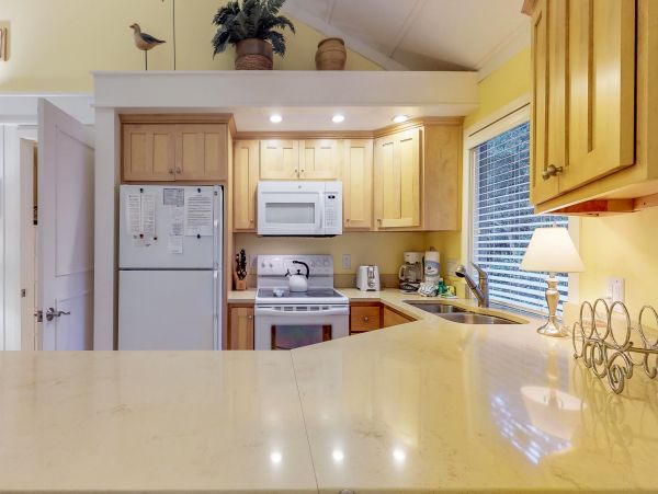 Hilton Head Condo 1008743