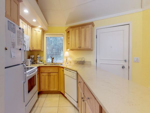 Hilton Head Condo 1008743