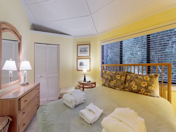 Hilton Head Condo 1008743
