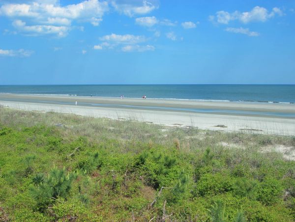 Hilton Head Condo 1008743