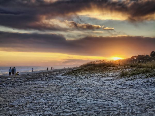 Hilton Head Condo 1008746