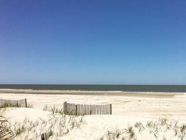 Hilton Head Condo 1008749