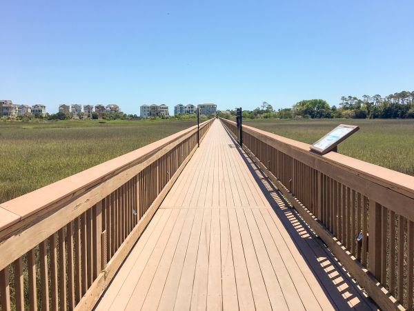 Hilton Head Condo 1008749