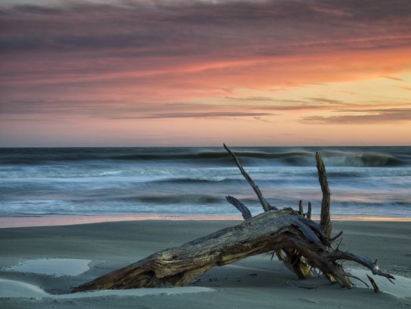 Hilton Head Condo 1008749