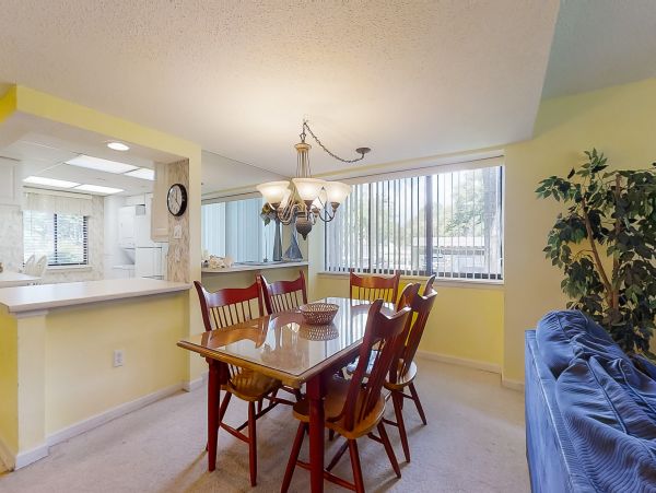 Hilton Head Condo 1008751
