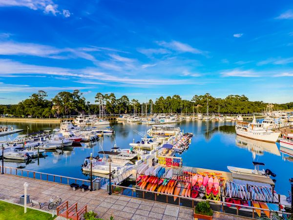 Hilton Head Condo 1008752