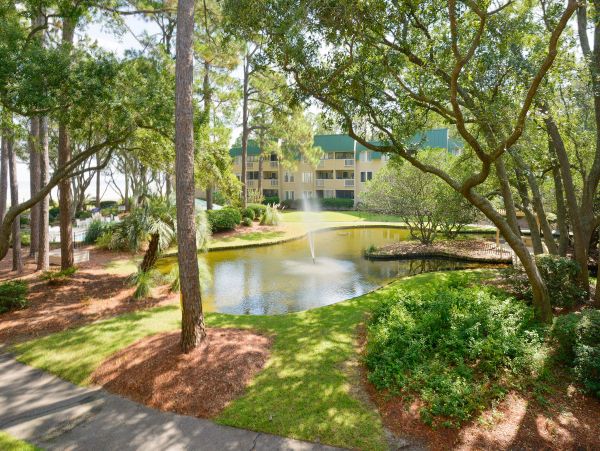 Hilton Head Condo 1008759