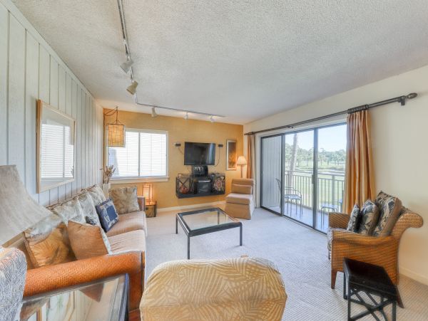 Hilton Head Condo 1008766