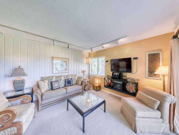 Hilton Head Condo 1008766