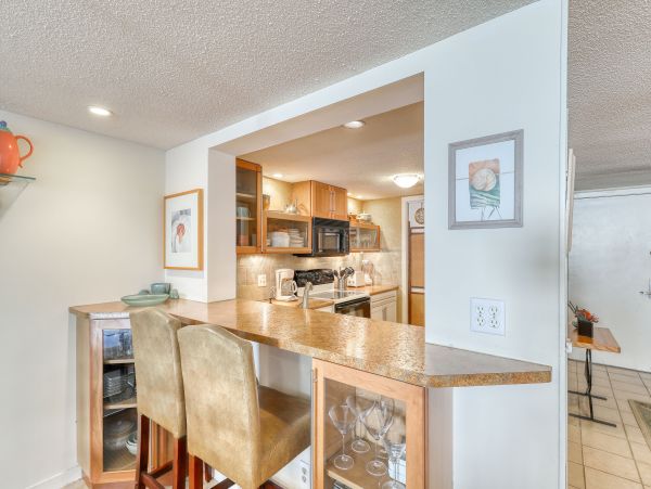 Hilton Head Condo 1008766