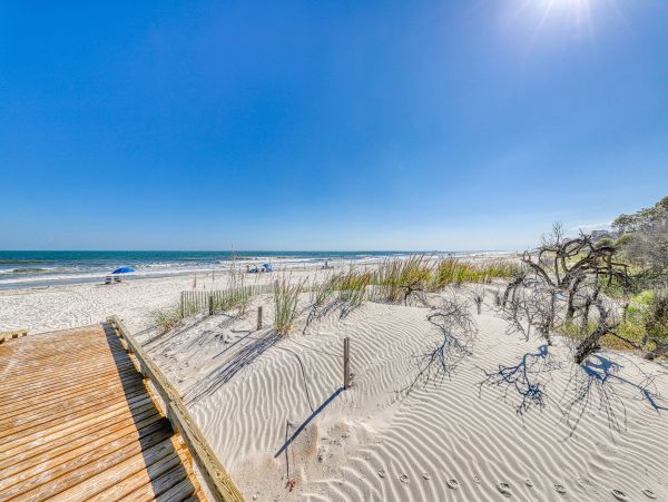 Hilton Head Condo 1008766