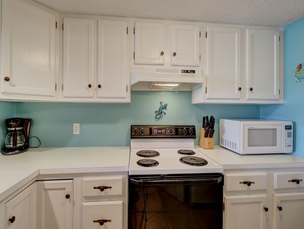 Hilton Head Condo 1008769