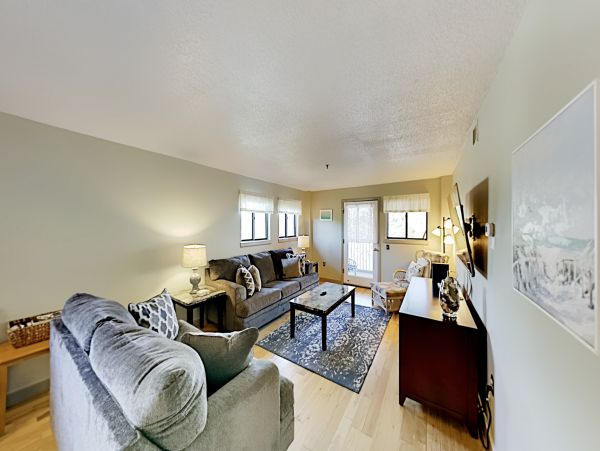 Hilton Head Condo 1008771