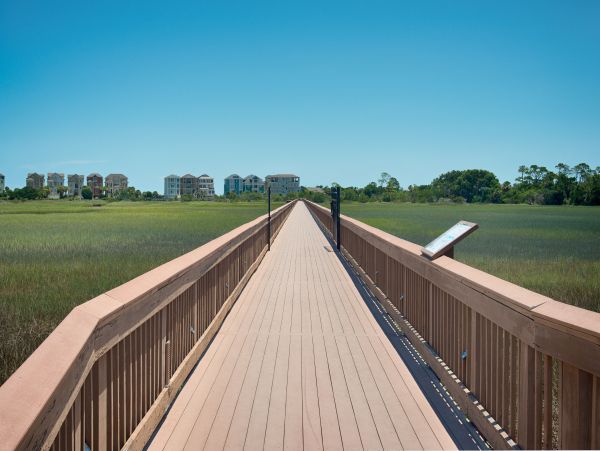Hilton Head Condo 1008771