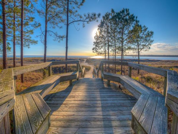 Hilton Head Condo 1008779