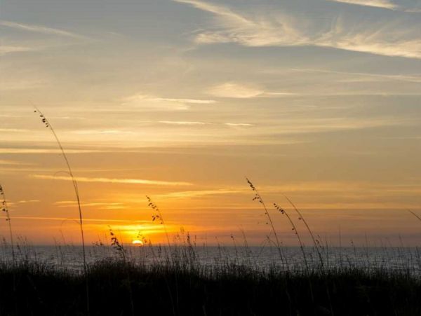 Hilton Head Condo 1008779