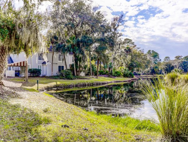Hilton Head Condo 1008781