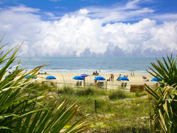 Hilton Head Condo 1008781