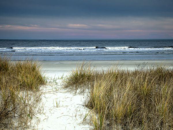 Hilton Head Condo 1008782