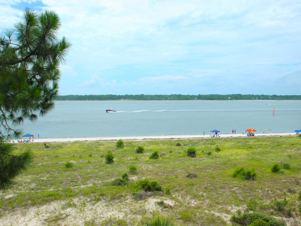 Hilton Head Condo 1008783