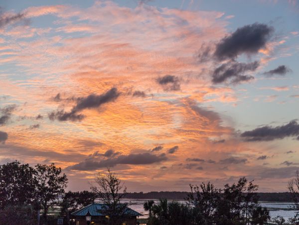 Hilton Head Condo 1008794
