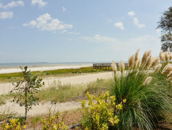 Hilton Head Condo 1008800