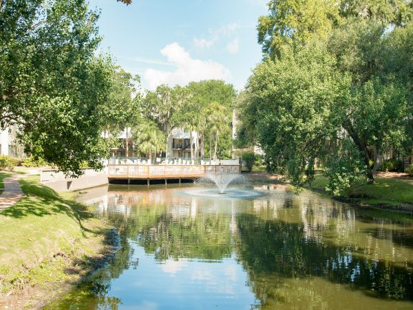 Hilton Head Condo 1008803