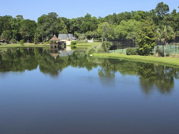 Hilton Head Condo 1008810