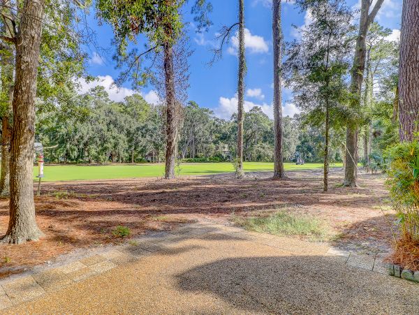 Hilton Head Condo 1008814