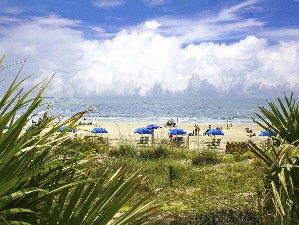 Hilton Head Condo 1008816